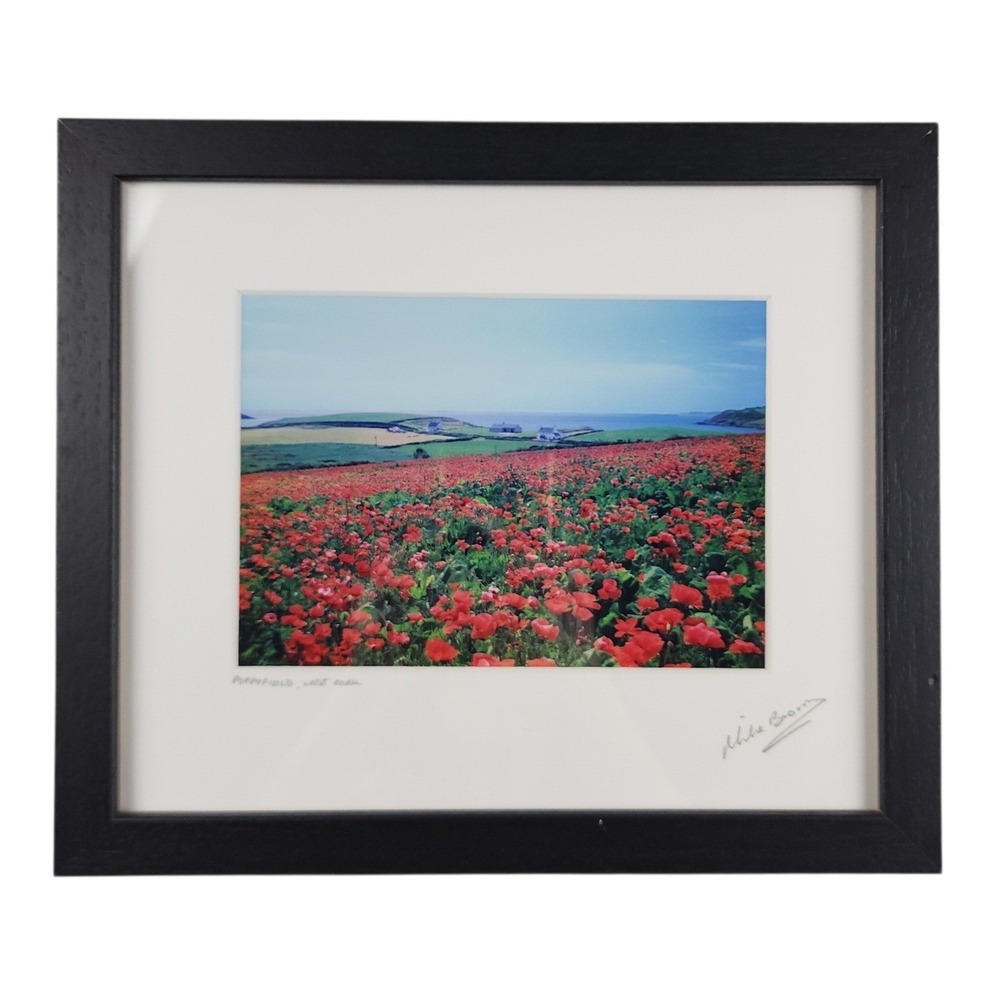 Mike Brown‎ Photography Poppyfield West Cork Signed Framed Art Irish Landscape